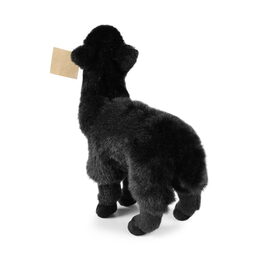 Rappa Plyšová lama alpaka černá 23 cm ECO-FRIENDLY