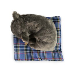 Rappa Plyšový pes francouzský buldoček ležící 23 cm ECO-FRIENDLY