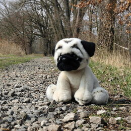 Rappa Plyšový pes mops 30 cm ECO-FRIENDLY