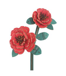 Kamélie dřevěná 3D