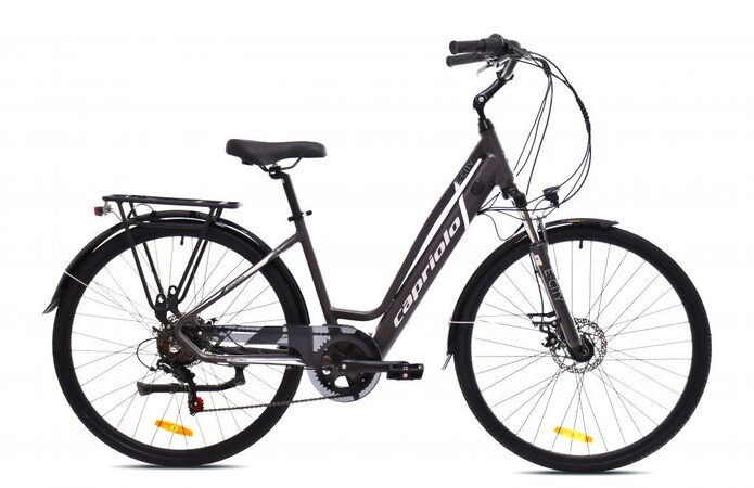 Elektrokolo Capriolo E-City Lady 28 E-BIKE šedo stříbrná