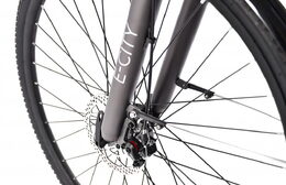 Elektrokolo Capriolo E-City Lady 28 E-BIKE šedo stříbrná