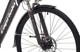 Elektrokolo Capriolo E-City Lady 28 E-BIKE šedo stříbrná