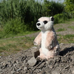 Rappa Plyšová surikata stojící 14 cm ECO-FRIENDLY