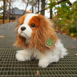 Rappa Plyšový pes King Charles španěl 25 cm