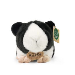 Rappa Plyšové morče 22 cm ECO-FRIENDLY