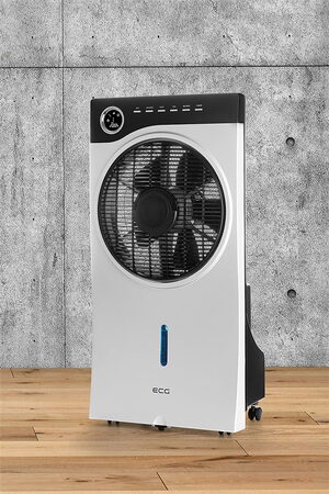 ECG Mr. Fan