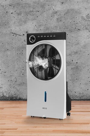 ECG Mr. Fan