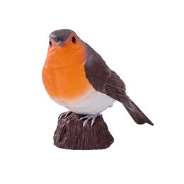 Mojo Červenka obecná