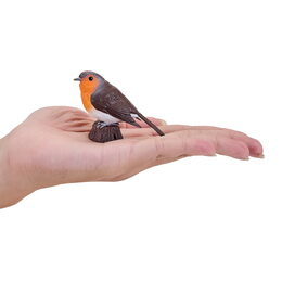 Mojo Červenka obecná