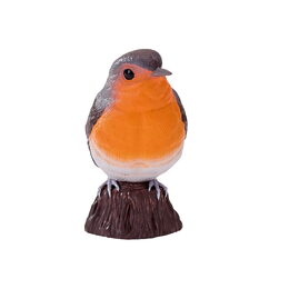 Mojo Červenka obecná