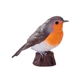 Mojo Červenka obecná