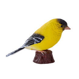 Mojo Čížek žlutý