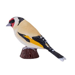 Mojo Stehlík obecný