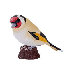 Mojo Stehlík obecný