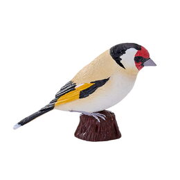 Mojo Stehlík obecný