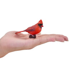 Mojo Kardinál červený
