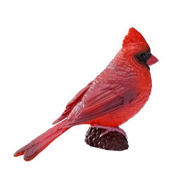 Mojo Kardinál červený