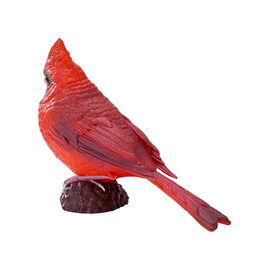 Mojo Kardinál červený