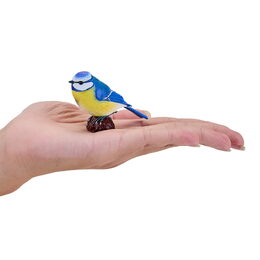 Mojo Sýkora modřinka