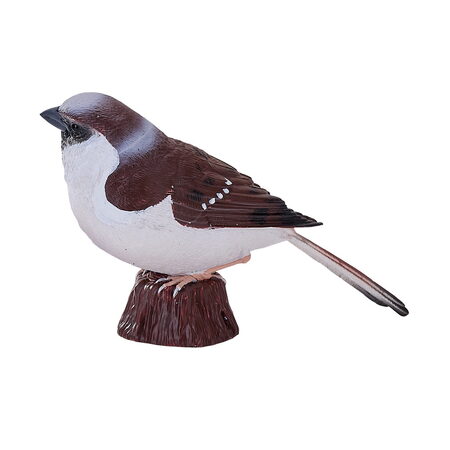 Mojo Vrabec domácí