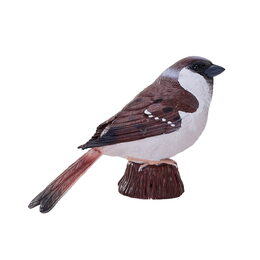 Mojo Vrabec domácí