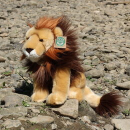 Rappa Plyšový lev sedící 25 cm ECO-FRIENDLY