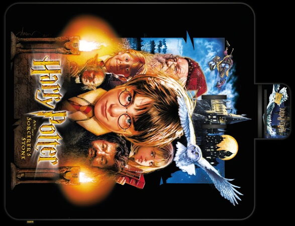 Pikniková deka Harry Potter 20let