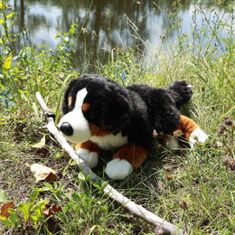 Rappa Plyšový pes bernský salašnický ležící 44 cm ECO-FRIENDLY