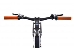 Elektrokolo Capriolo E-CITY BELT DRIVE 28" černá - šedá