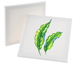 Plátna na malování 20x20 cm