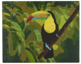 Diamantové malování tukan 40x50cm