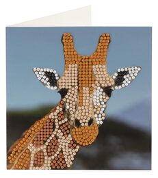 Diamantové malování přání 13x13cm