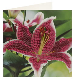 Diamantové malování přání 13x13cm