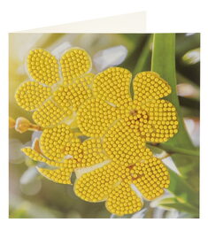 Diamantové malování přání 13x13cm