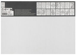 Vymalovánky Profesional květinové motivy 25x35 cm