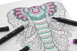 Vymalovánky Profesional zvířecí motivy 25x35 cm