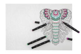 Vymalovánky Profesional zvířecí motivy 25x35 cm