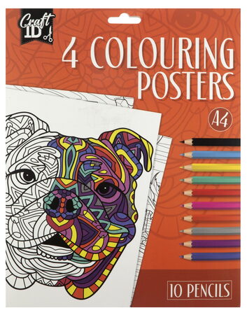 Vymalovánky 4 obrázky + 10 pastelek  A4