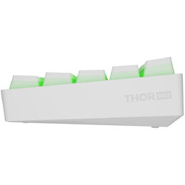 THOR 660 G2 keyboard gat.red wh GENESIS