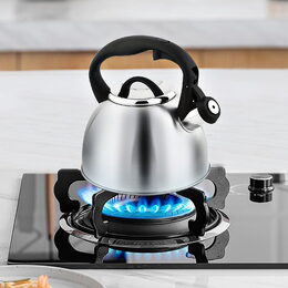 CS SOLINGEN Konvice pískací nerez Bonn 2,5 l CS-067366nere