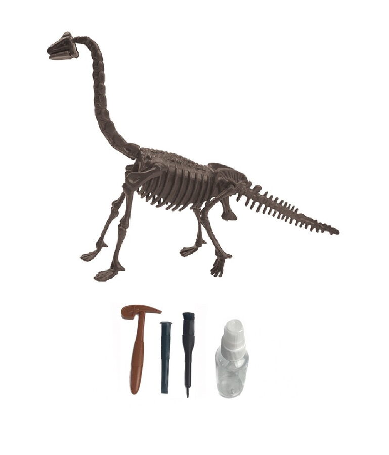 Archeologický set – Brachiosaurus