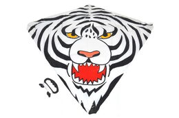 Drak létající plast 72x68cm asst 6 druhů v sáčku