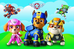 Puzzle Tlapková patrola 54 dílků mini