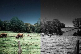 Venkovní kamera se solárním nabíjením Anker eufy S330 4G LTE, 4K bílá