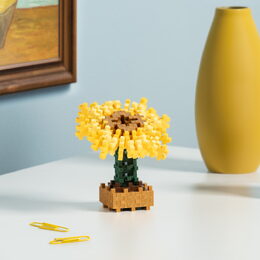 Plus-Plus Inspired - Van Gogh