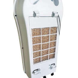 398500004 POLIFEMO TALAO - R