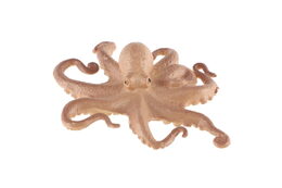 Zvířátko mořské plast 8-10cm mix druhů v sáčku 36ks v boxu