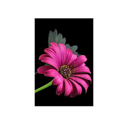 Diamantové malování s doplňky mix barev v sáčku 13x22x2cm