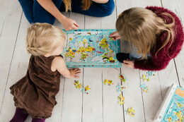 Puzzle Svět zvířat 45x31cm 80 dílků v krabici 25x16x6,5cm